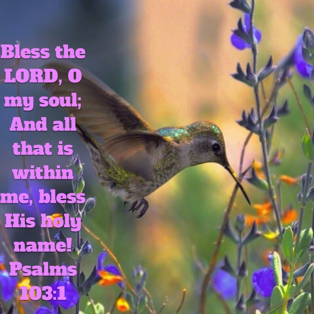 Bless The Lord All That Is With You  Image66