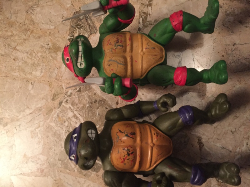 Lotto Turtles Img_9350