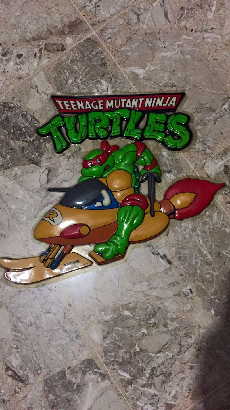 Lotto Turtles Img_9351