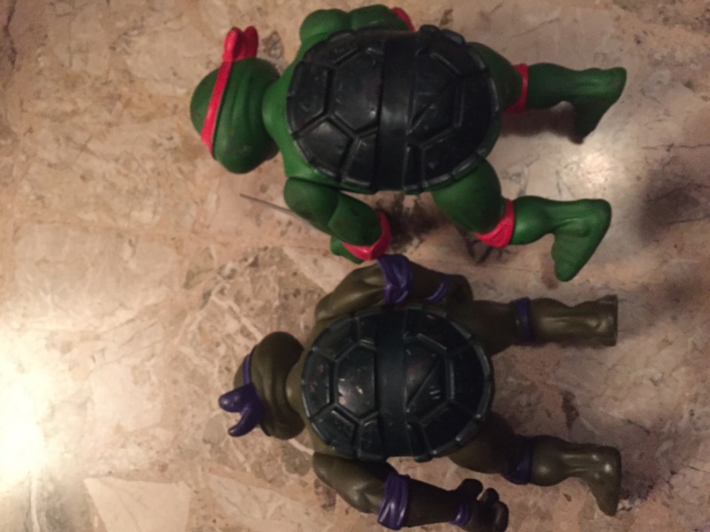Lotto Turtles Img_9352