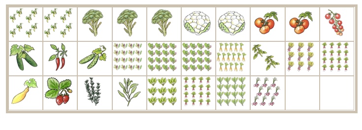 Our tentative 10x3 garden plan! Screen11