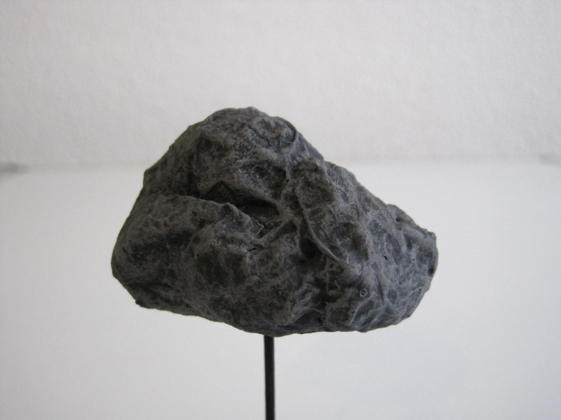 Schwarm der andern Art ( Asteroiden ) Img_1525