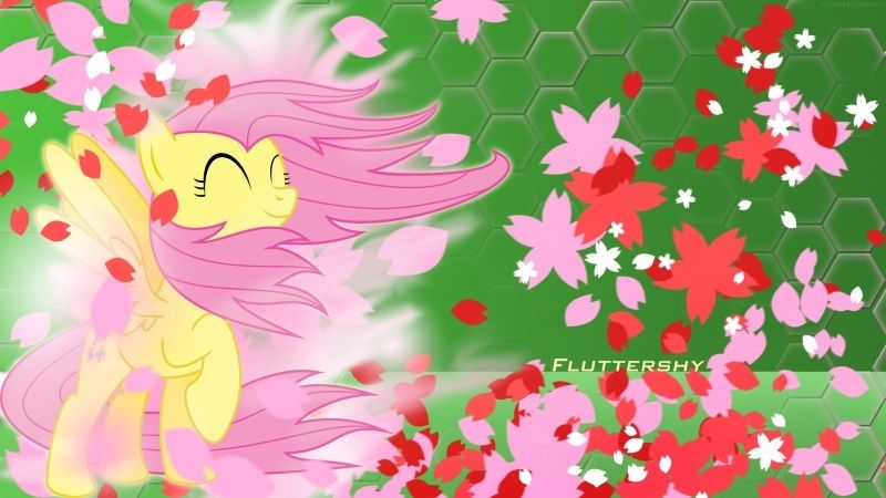 Fluttershy Wallpappers 2410