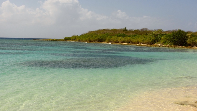Guadeloupe les spots et le materiel pour novice requis pour plonger est découvrir l'ile    Img_4010