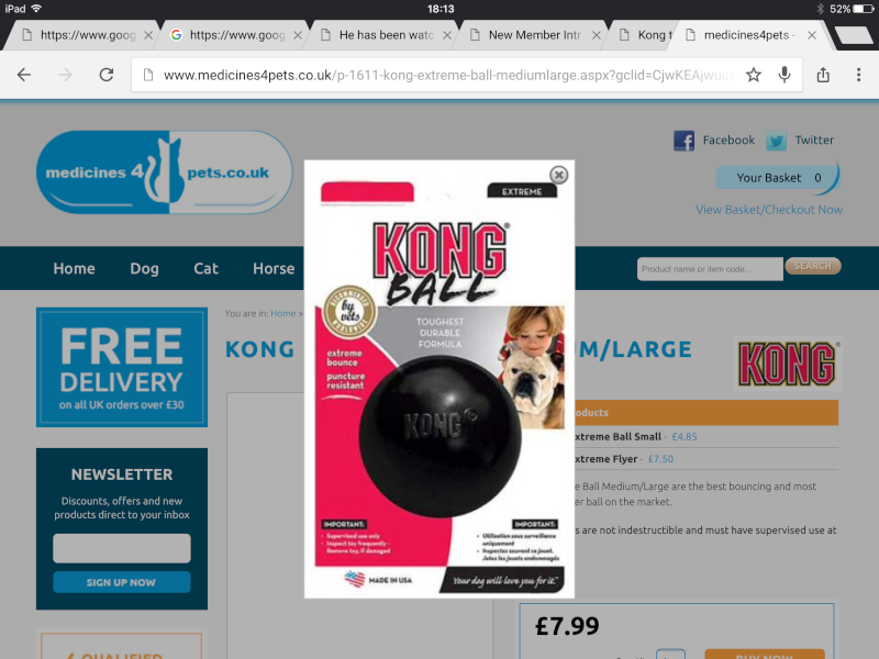 Kong toys Image10