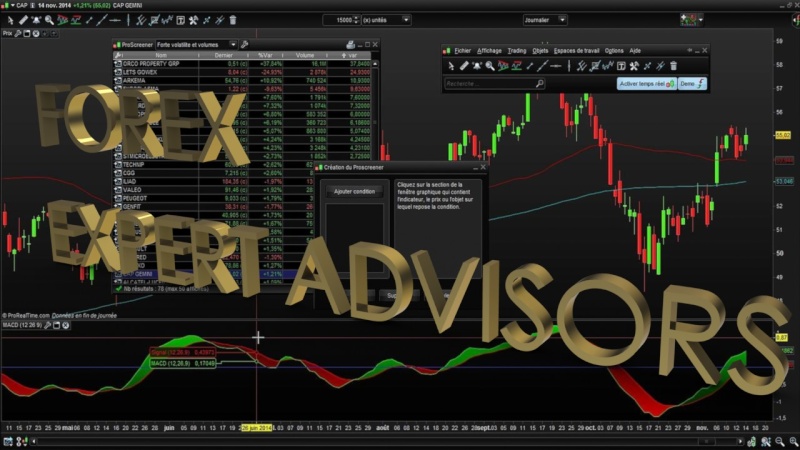 Forex Expert Advisor