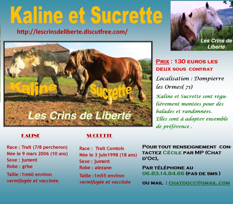 Dpt 71, Kaline, comtoise et Sucrette percheronne, adoptées par Laetitia (2016) - Page 2 Les_cr67