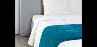 Conseils au sujet d'une chambre à coucher (couleur chocolat, wengé) Canvas10