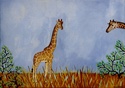 Galerie Toundra Girafe10