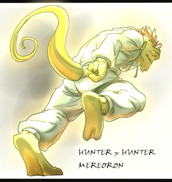Hunter x Hunter Meleor10