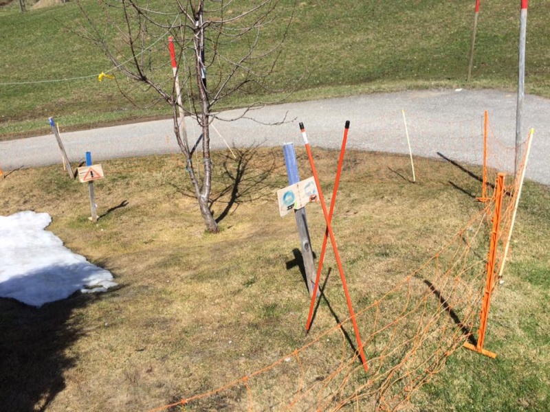 Piste de luge-maison (infos etc) 12961610