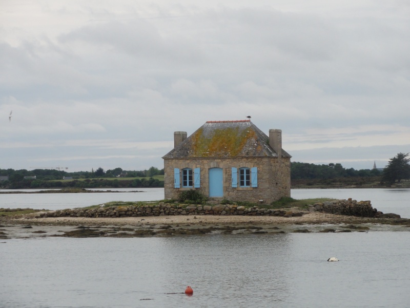 sud Bretagne Dsc02410