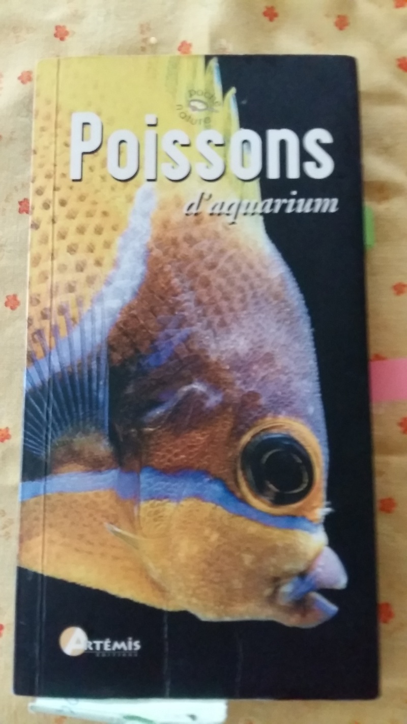 Poissons d'aquarium 20160521