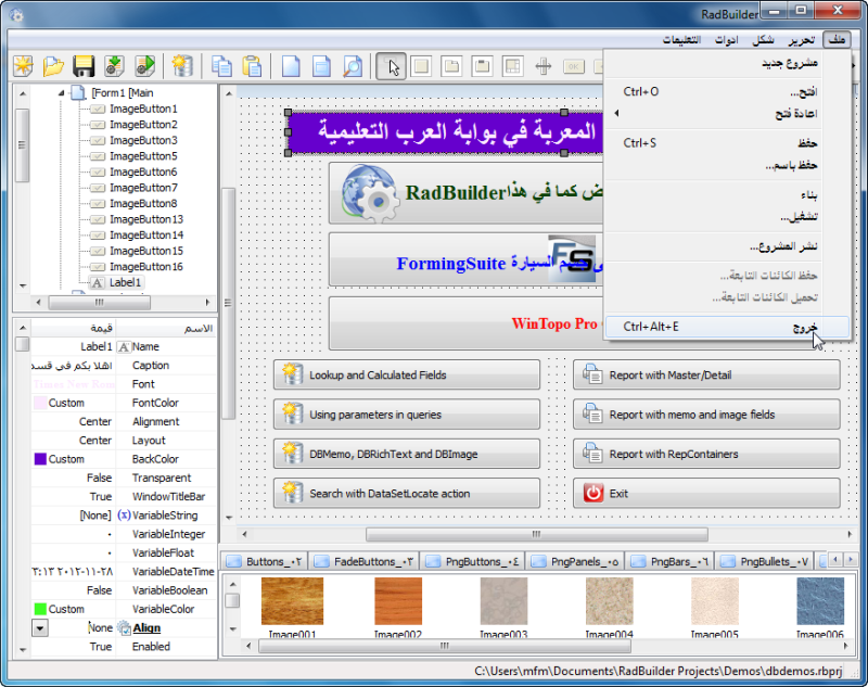 ترجمة برنامج RadBuilder  لعمل واجهة برنامج  بقوالب مميزة Radbui12