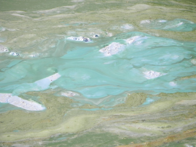 Pétition dépollution du lac de PUYVALADOR Pollut10