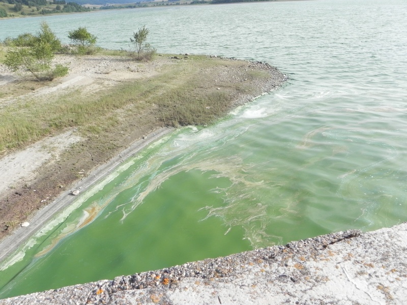 Pétition dépollution du lac de PUYVALADOR Pollut16