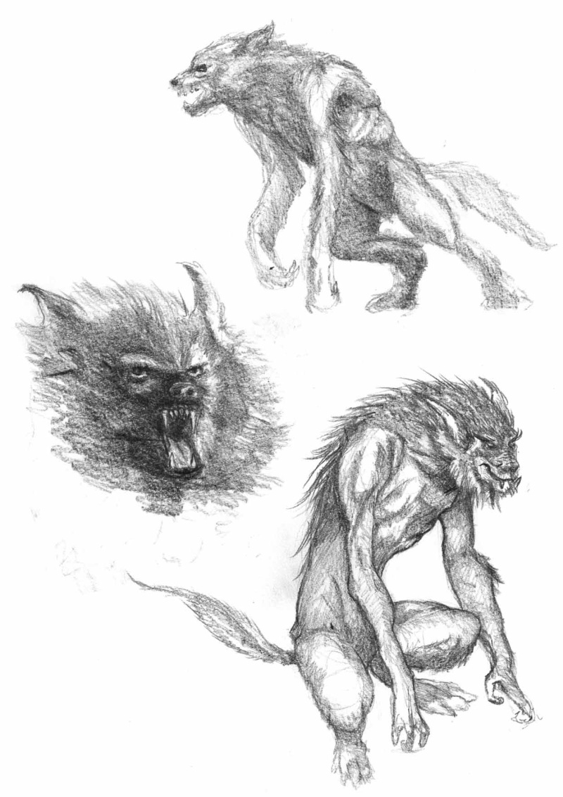 Twrch - croquis - Study painting - WIP  Loups10