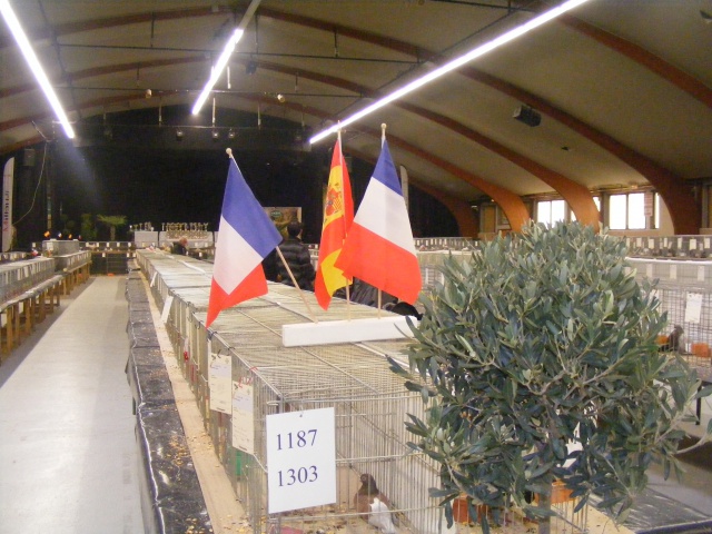 Championnat de France 2013: Millau 56559410