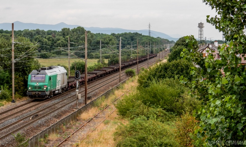 [TOPIC FERROVIAIRE] Photos et vidéos des trains de la SNCF en Champagne Ardenne et ailleurs - Page 8 Dscn3511