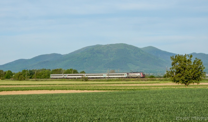 [TOPIC FERROVIAIRE] Photos et vidéos des trains de la SNCF en Champagne Ardenne et ailleurs - Page 6 Dscn4110