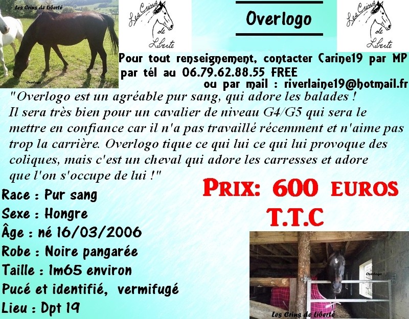 Dept19 -  10 ans - OVERLOGO-  Pur Sang-sauvé par Lalou46 !!! (Juillet 2016) 3212