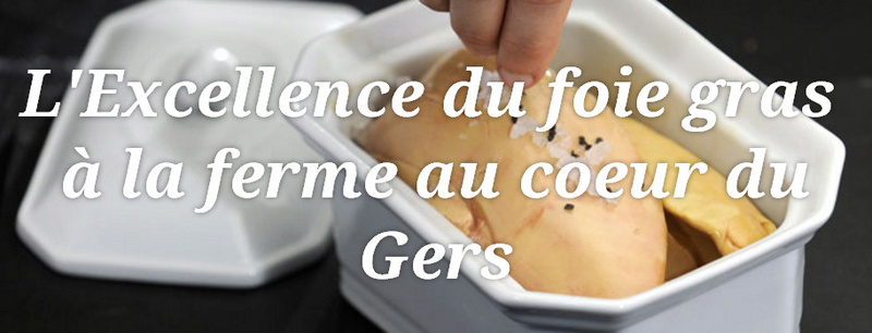 Le canard, foie gras, rilletes, magret, etc. 2016-014