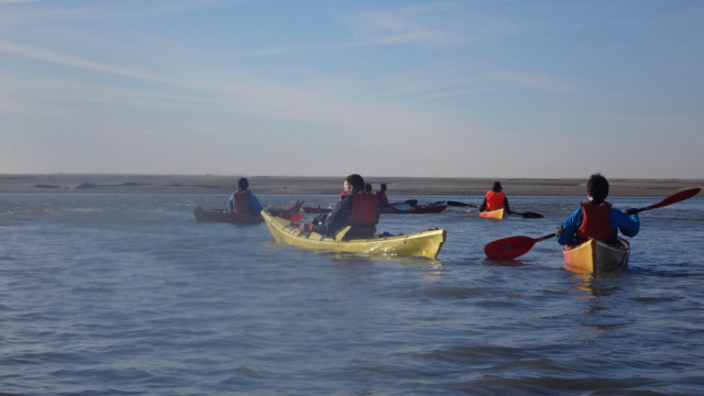 Sortie Baie de Somme dimanche 24 février 2019 Dsc02510