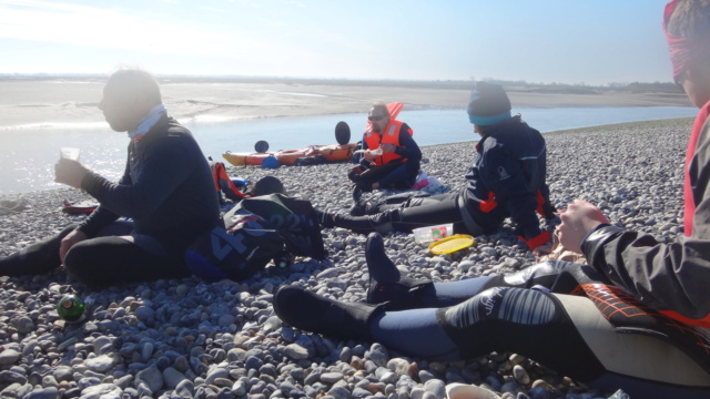 Sortie Baie de Somme dimanche 24 février 2019 Dsc02518