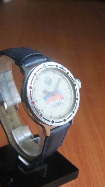 Vraie ou fausse Amphibia ? 19816810