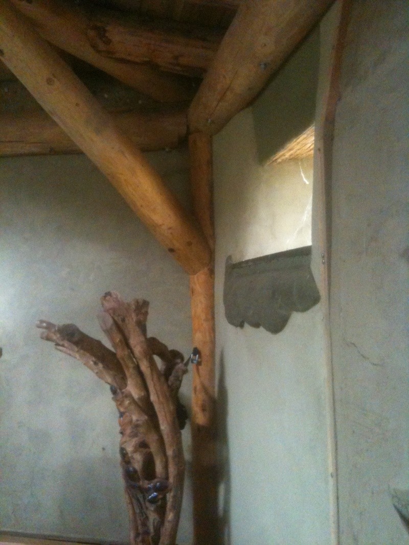 Recherche bénévoles charpentiers pour toiture mandala ! Img_1210
