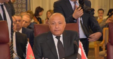عاجل - مصر تحذر من تدخل عسكرى تركى فى ليبيا وتدين موافقة برلمان أنقرة على إرسال قوات 20191128