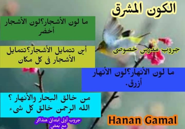 الدروس الأولى فى منهج اللغة العربية  الصف الأول شرج بالقرائية الإبتدائى المطور الجديد ترم ثانى2019 50875210