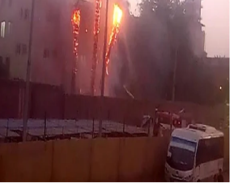 بسبب ارتفاع  الحرارة - اشتعال النيران في نخل مستشفى حميات إمبابة بالجيزة 97577810