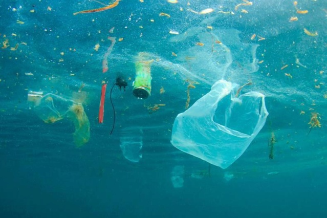 Océanos y Mares contaminados