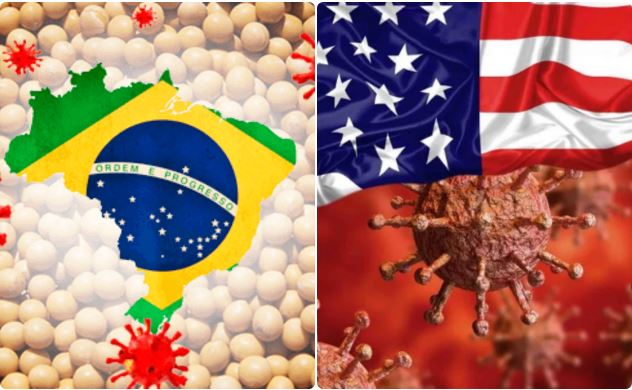 Coronavirus en Brasil y Estados Unidos