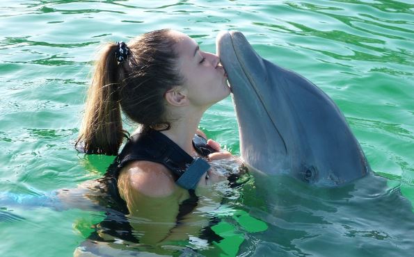 Nadar con Delfines, Turismo en Los Cabos, México