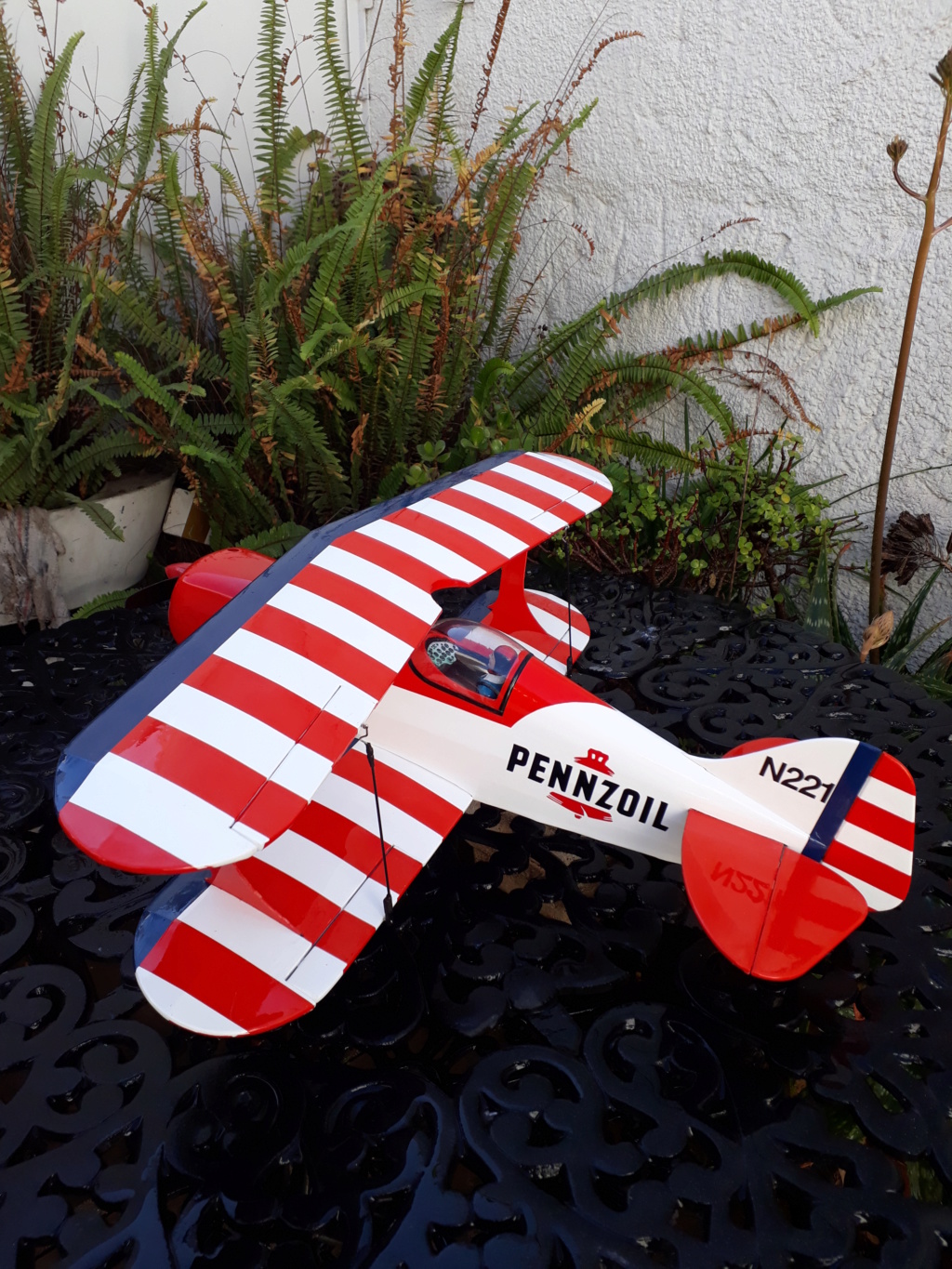 New Flight: Pitts -Skelton Aerobatic model (page 9) - Page 6 20200614