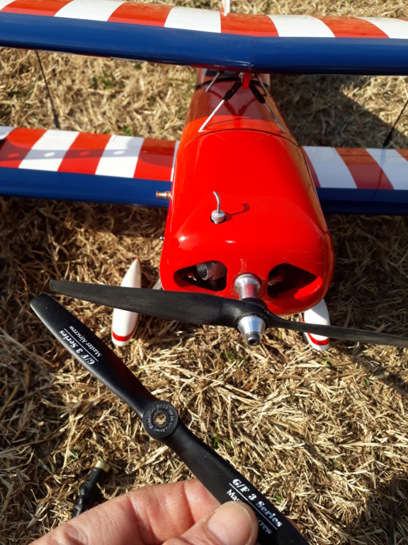New Flight: Pitts -Skelton Aerobatic model (page 9) - Page 10 20200733