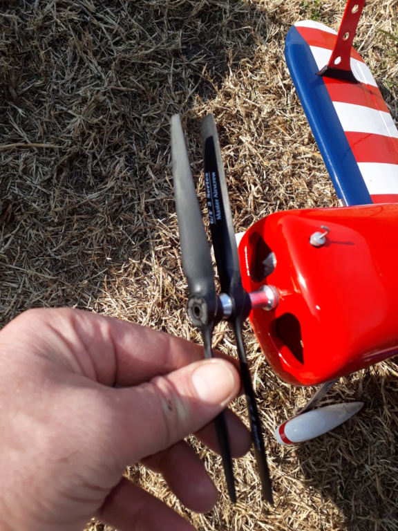 New Flight: Pitts -Skelton Aerobatic model (page 9) - Page 10 20200734