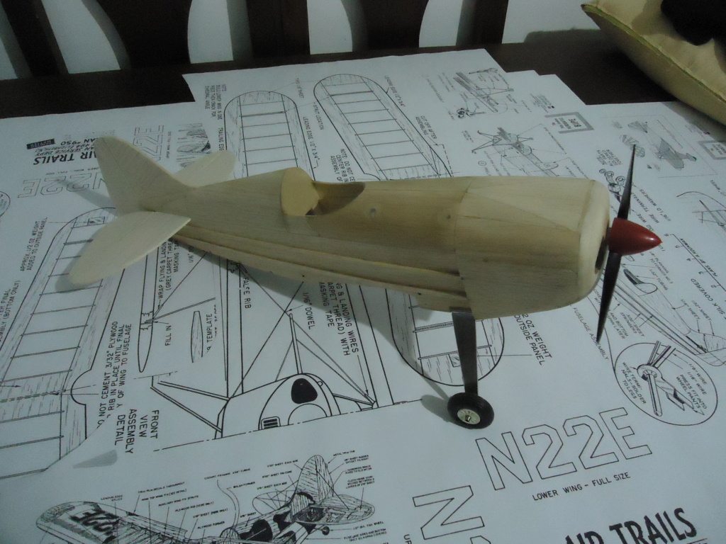 New Flight: Pitts -Skelton Aerobatic model  (page 9) - Page 2 Dsc03742