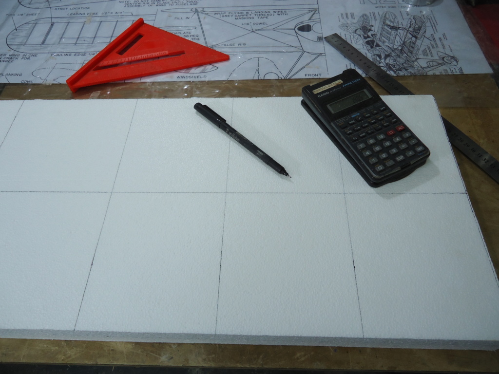 New Flight: Pitts -Skelton Aerobatic model (page 9) - Page 3 Dsc03941