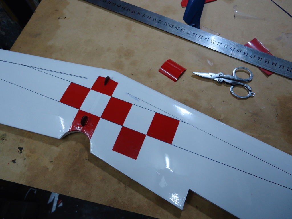 New Flight: Pitts -Skelton Aerobatic model  (page 9) - Page 5 Dsc04215