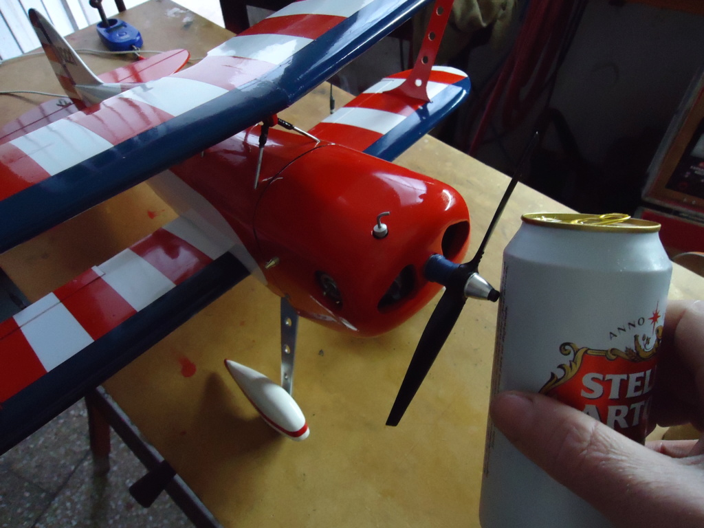 New Flight: Pitts -Skelton Aerobatic model  (page 9) - Page 9 Dsc04322