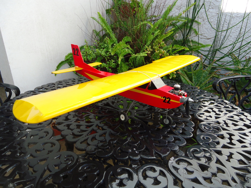 New r / c model airplane project for Cox! - Page 2 Dsc05225