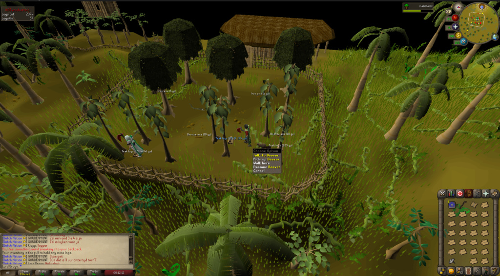 Woodcutting Competitie! Beaver10