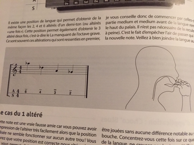 Comment avoir toutes ses altérations avec seulement 4 positions de langue Altea_10