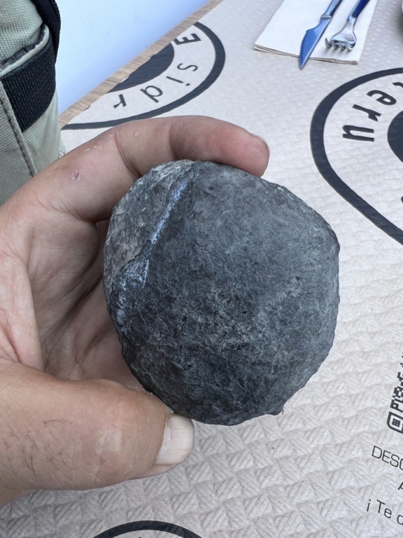 Nódulo en piedra caliza A022ca10