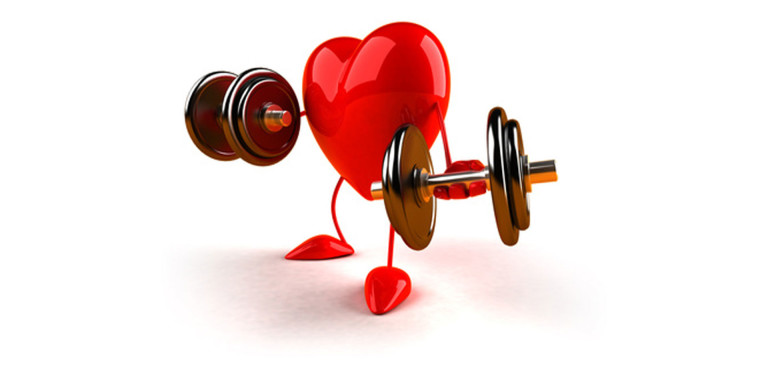 Как можно укрепить сердечную мышцу? Trenir11