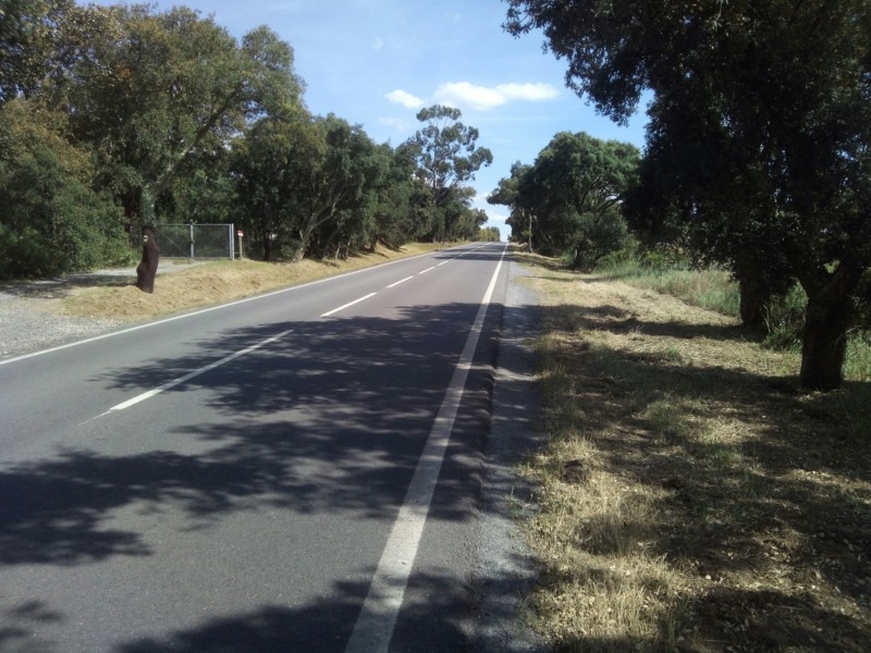 Rota N2 Roteiro obrigatorio?! Apenas seguir a Nacional 2 - Página 2 20190447