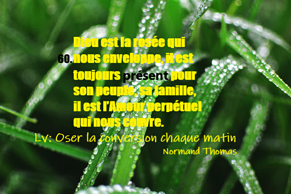 Courtes phrases spirituelles de Normandt C60_110